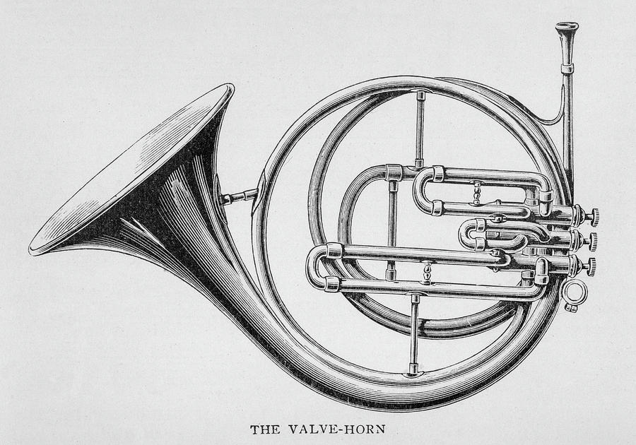 900x630 The Valve Horn (French Cor A Pistons) Drawing By Mary Evans - French Horn Sketch
