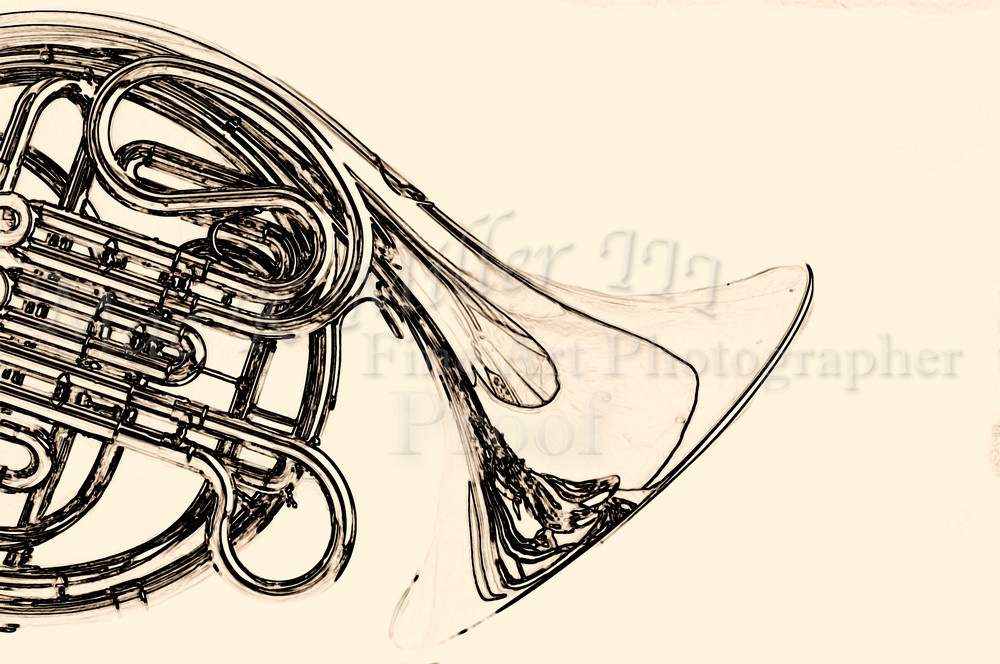 1000x664 Classic French Horn Bw Picture 2080.24 - French Horn Sketch