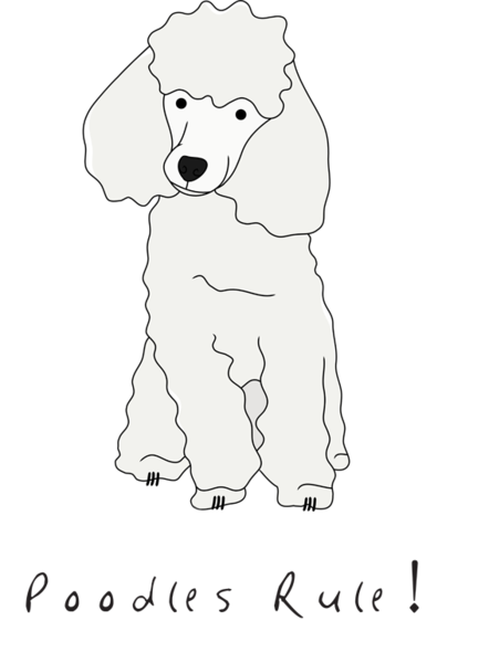 442x600 Collection Of Free Poodle Drawing. Download On Ubisafe - French Poodle Sketch