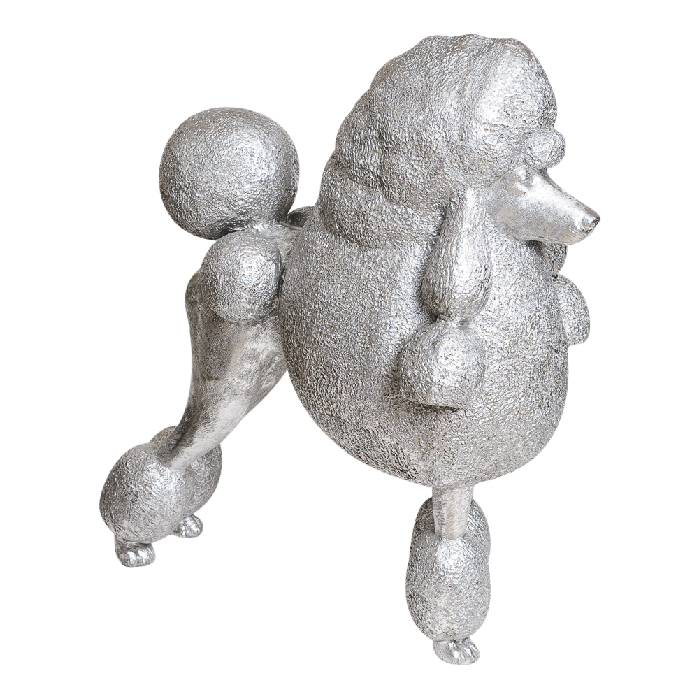 1000x1000 Fantastically Crazy Lifesize Standard Poodle. French Poodle - French Poodle Sketch