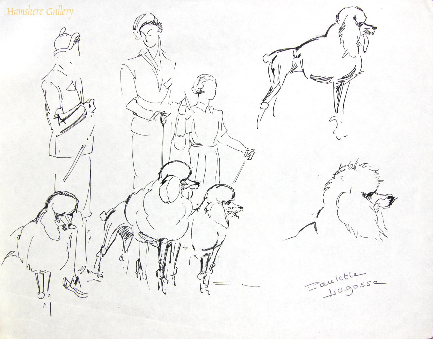 1445x1134 Category Individual - French Poodle Sketch