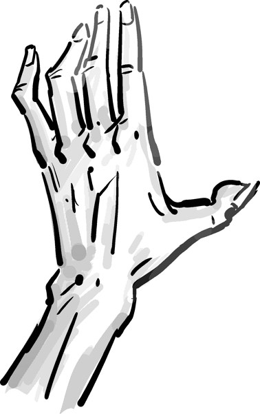 378x601 Friday Sketch Old Hand Colleen Coover - Friday Sketch