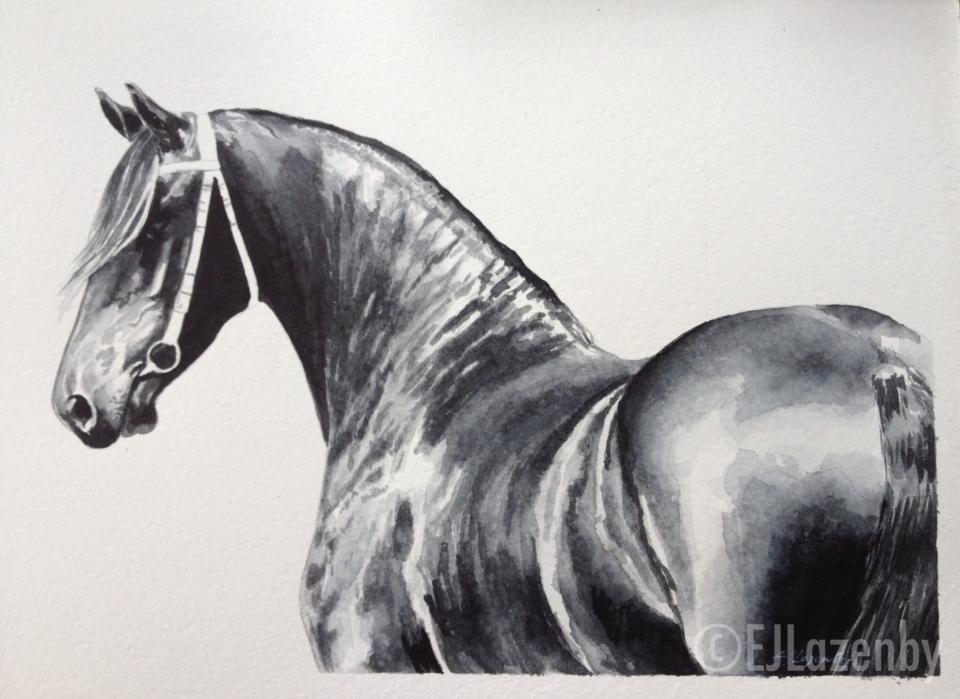 960x699 Friesian Artwork - Friesian Sketch
