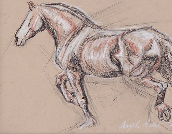 550x429 Friesian Sketch Posters By Angela Marks Redbubble - Friesian Sketch