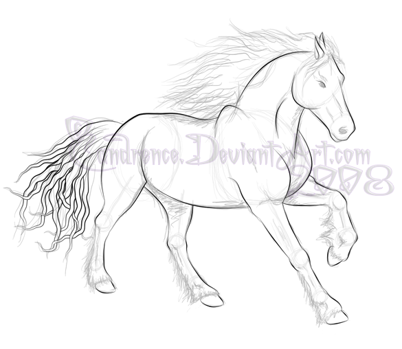 585x508 Friesian Sketch By Candrence - Friesian Sketch