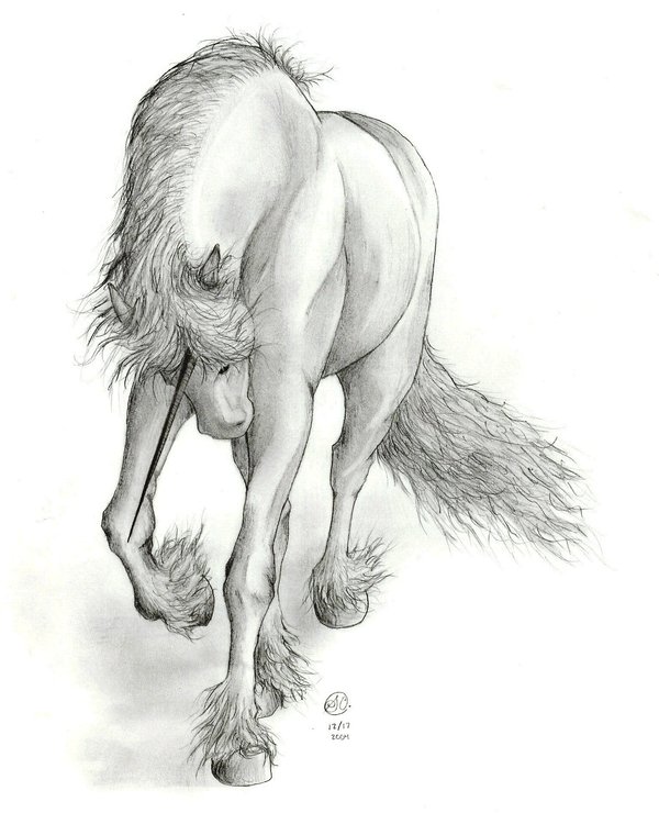600x740 Friesian Unicorn By Sarachristensen - Friesian Sketch