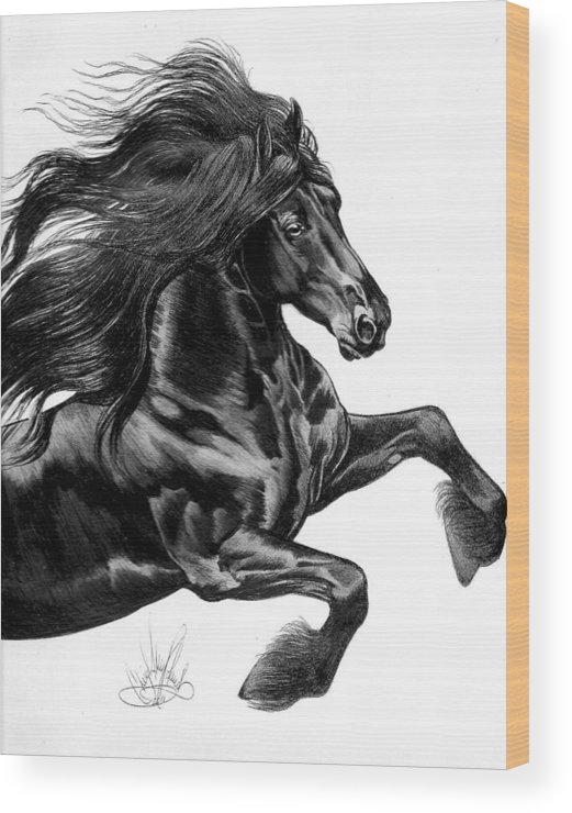 521x740 Friesian Wood Print By Cheryl Poland - Friesian Sketch