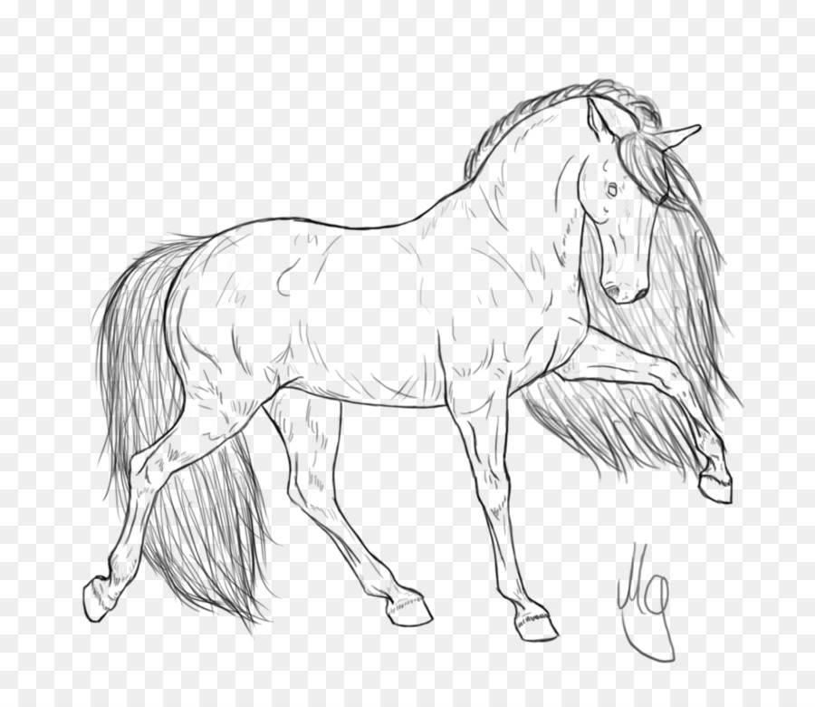 900x780 Friesian Horse Coloring Book Foal Standardbred Horse Head Mask - Friesian Sketch