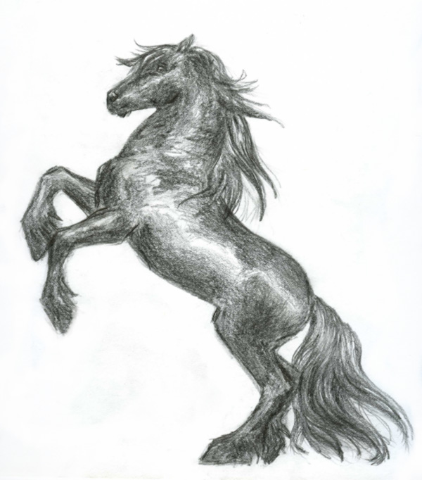 600x682 Friesian Sketch By Akuinnen24 - Friesian Sketch