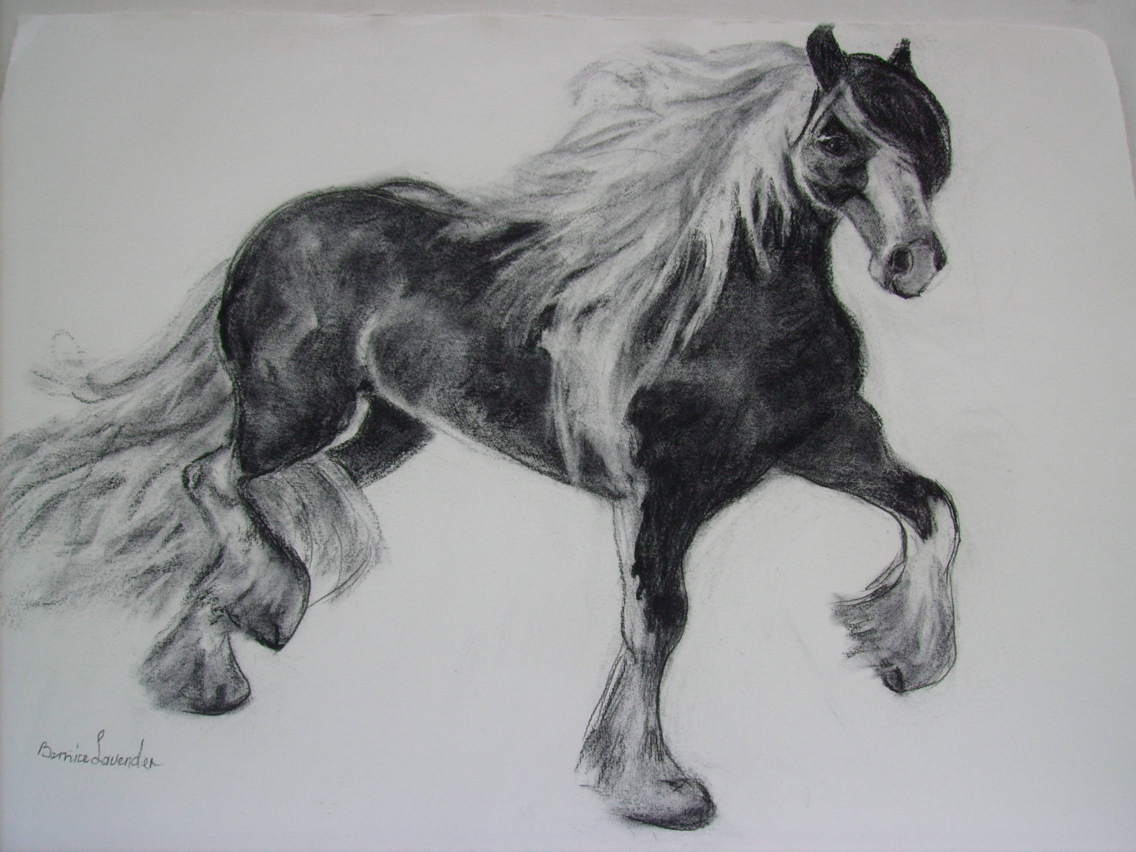2272x1704 Original Charcoal Friesian Horse Sketch Etsy - Friesian Sketch