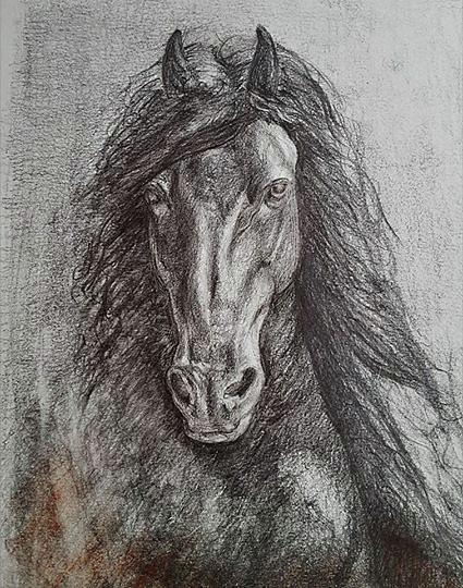 425x540 Proud Friesian Drawing By Chantal De Keersmaecker - Friesian Sketch