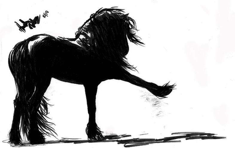 786x497 Friesian Sketch By Amandatolleson - Friesian Sketch