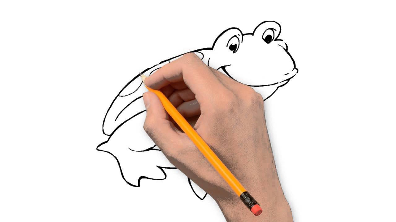 1280x720 Frog Animals Pencil To Draw Step By Step - Frog Pencil Sketch