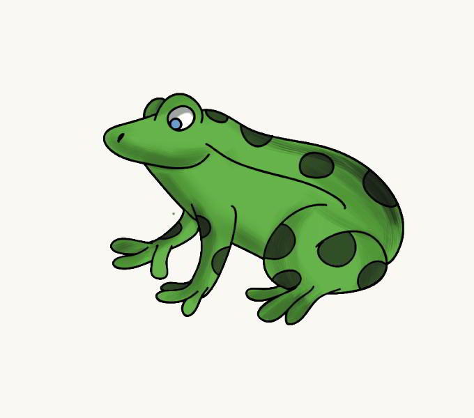 680x600 How To Draw A Cartoon Frog In A Few Easy Steps Easy Drawing Guides - Frog Sketch