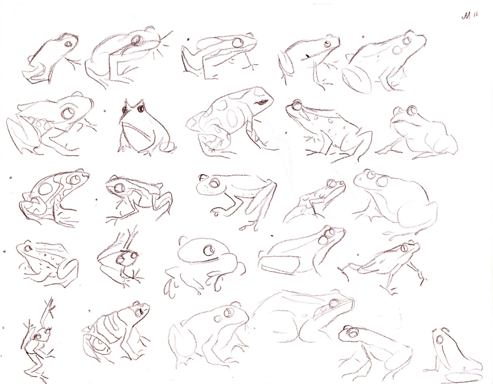 970x755 Frog Sketch Mindi Leatham - Frog Sketch