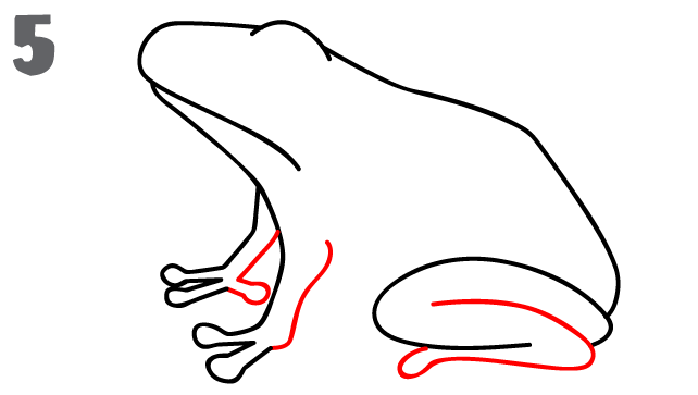 642x363 How To Draw A Frog - Frog Sketch Easy