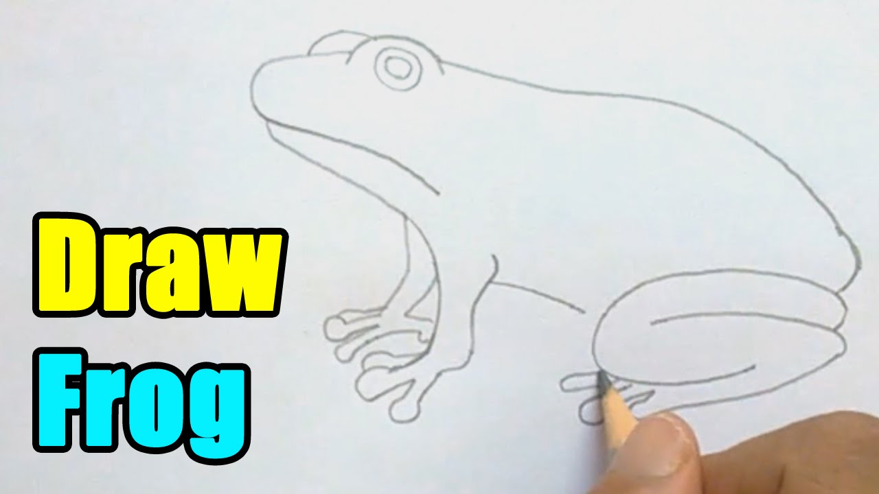1280x720 How To Draw A Frog - Frog Sketch Easy