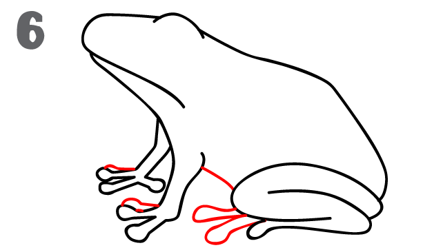 642x363 How To Draw A Frog - Frog Sketch Images