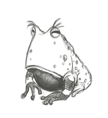 360x390 Shawna Jc Tenney Random Frog Sketch - Frog Sketch Images