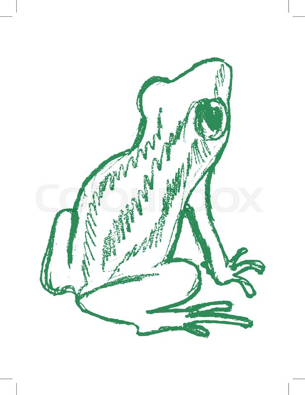 617x800 Vector, Sketch, Hand Drawn Illustration Of Tree Frog Stock - Frog Sketch Images
