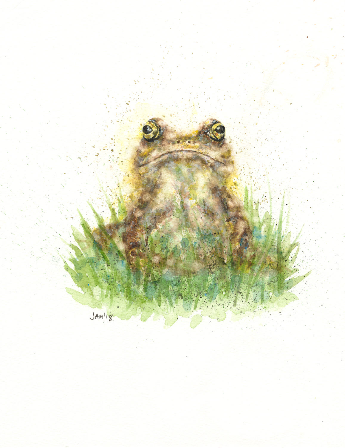 Frog Sketch Images at PaintingValley.com | Explore collection of Frog ...