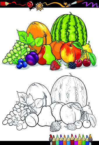 340x498 Color With Sketch Fruit And Vegetables Vector Free Vector In - Fruit Sketch