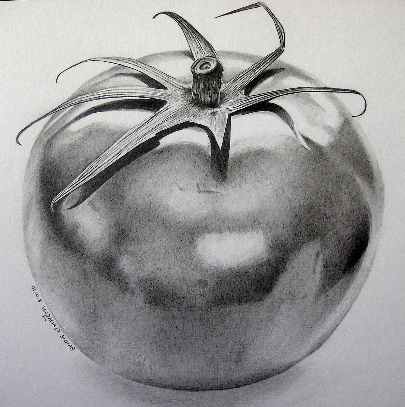 Drawing Fruit In Pencil Pencil Sketches Of Fruits And Vegetables - Fruit .....