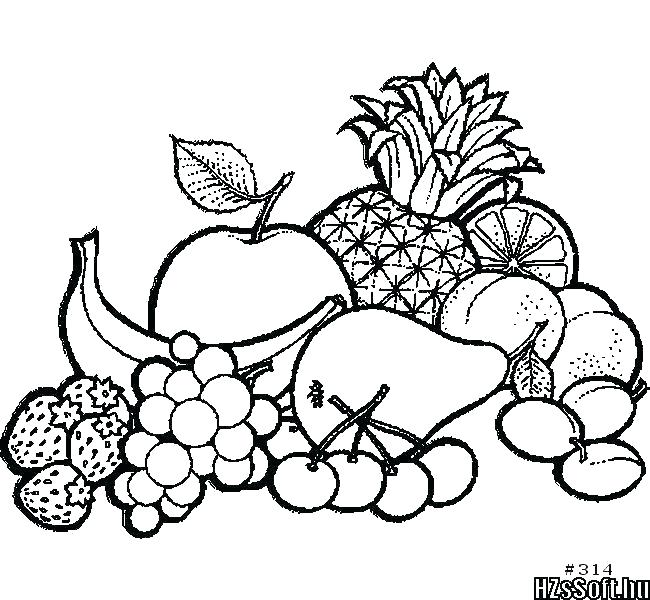 Fruit Sketch Drawing at PaintingValley.com | Explore collection of ...