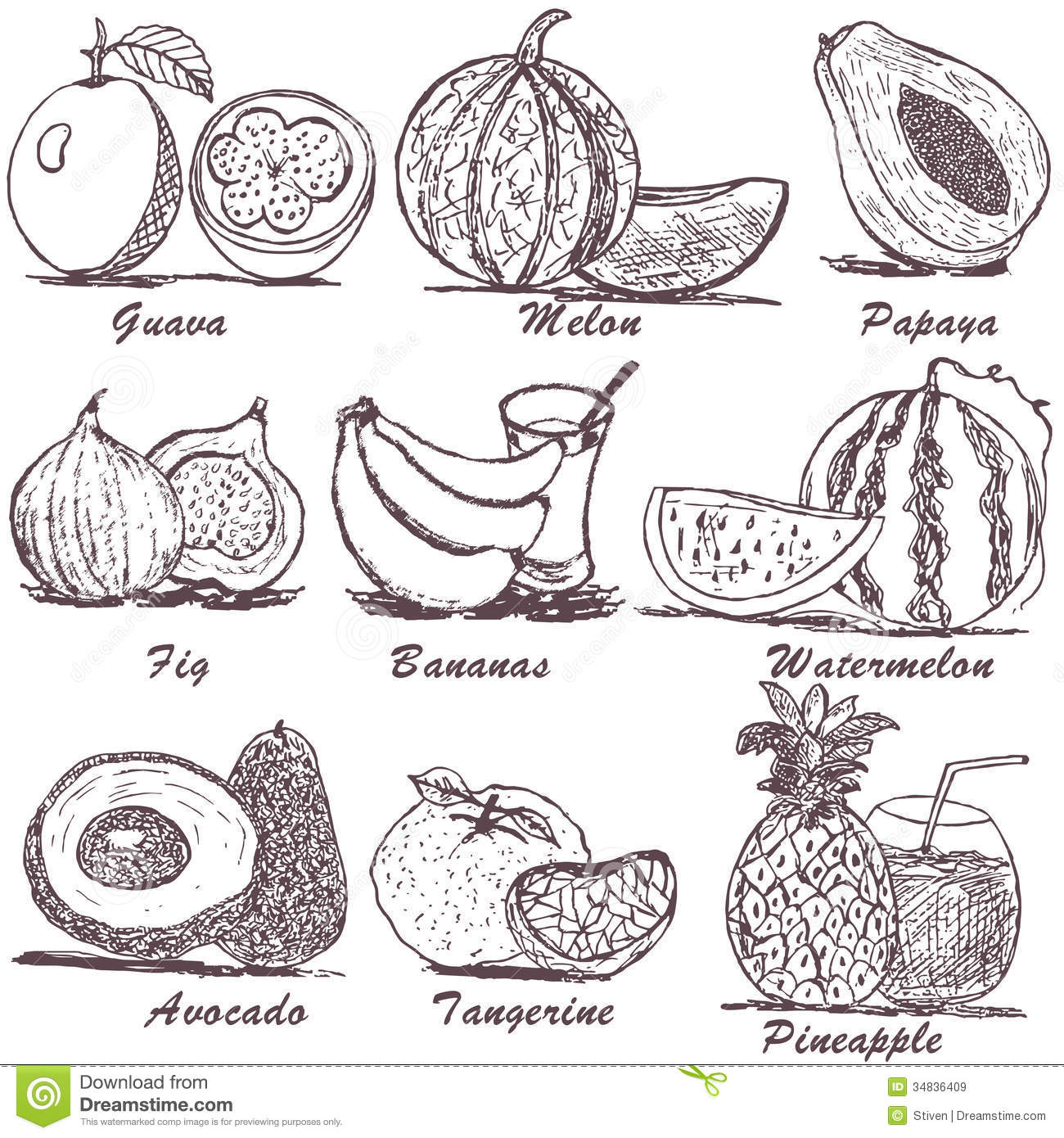 1300x1390 Fruits Sketches Pictures Fruit Sketch 2 Stock Vector. Illustration - Fruit Sketch Drawing