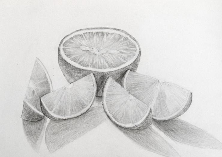 740x524 Pictures Pencil Drawing For Fruits, - Fruit Sketch Drawing