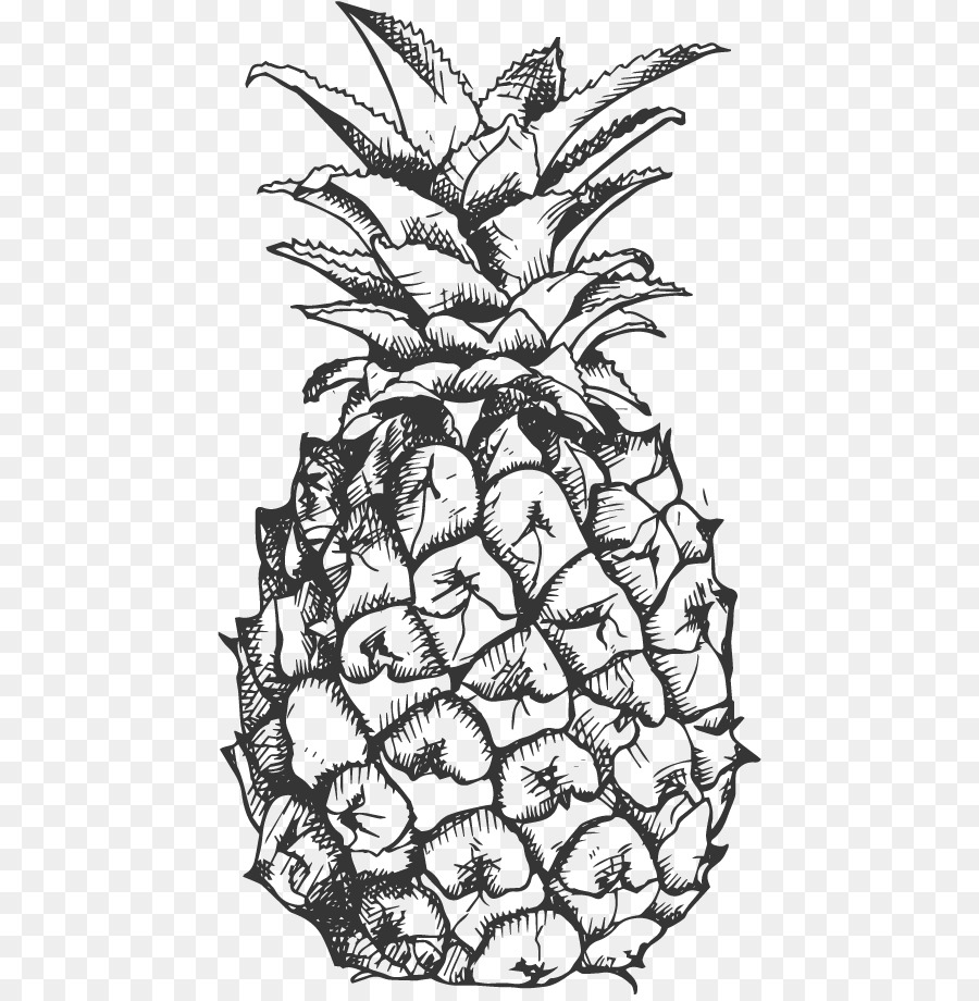 900x920 Pineapple Fruit Drawing Black And White Clip Art - Fruit Sketch Drawing