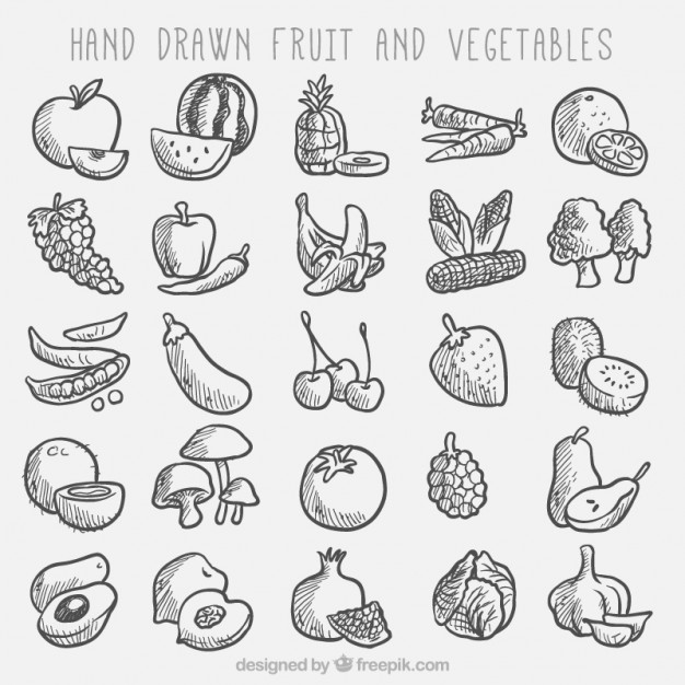 626x626 Sketches Fruit And Vegetable Collection Vector Free Download - Fruit Sketch Drawing