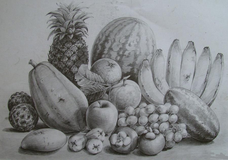 Fruit Sketch Drawing at PaintingValley.com | Explore collection of ...