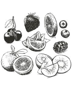 236x295 The 18 Best Etsy Fruit Clipart Hand Drawn Collection Of Fruits - Fruit Sketch Drawing