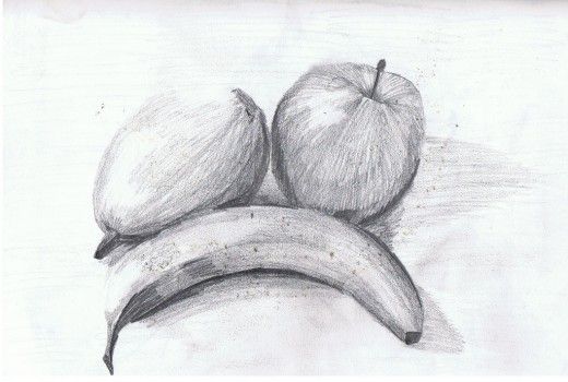 520x350 Fruit Basket Pencil Drawing - Fruit Sketch Drawing