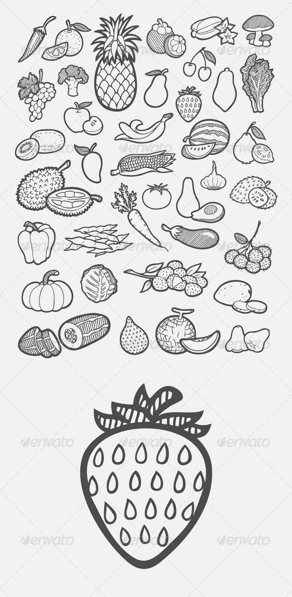 590x1206 Drawn Fruit Free Hand Drawing - Fruit Sketch Drawing