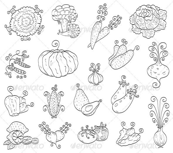 590x522 Doodle Fruits, Vegetables Drawing Doodles - Fruits And Vegetables Sketch