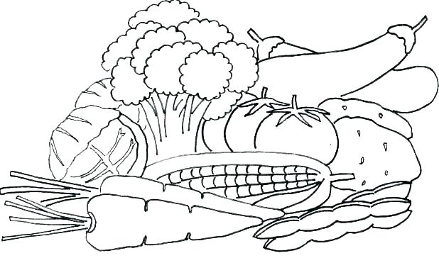 618x364 Fruits And Vegetables Coloring Sheets Pages Fruit Vegetable Garden - Fruits And Vegetables Sketch
