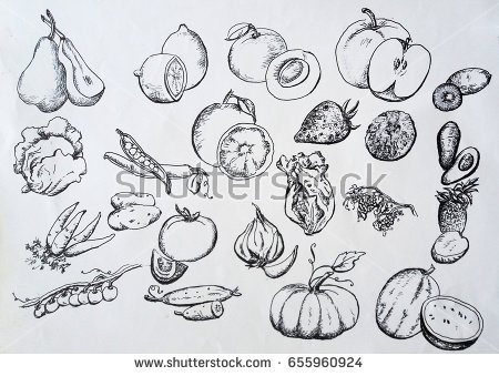 450x339 Collection Of Vegetables Sketch Drawing High Quality, Free - Fruits And Vegetables Sketch