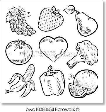 362x382 Art Print Of Healthy Fruit And Vegetables Sketch Barewalls - Fruits And Vegetables Sketch