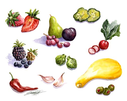 504x403 Sbwatercolors And Sketching Fruit And Vegetable Cameo Examples - Fruits And Vegetables Sketch