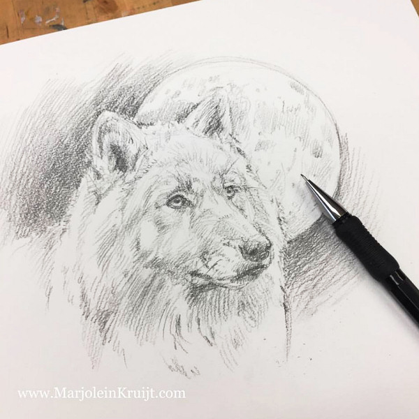 600x600 Sketching And Designing Animal Art - Full Moon Sketch