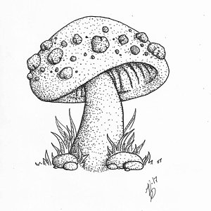 Fungi Sketch at PaintingValley.com | Explore collection of Fungi Sketch