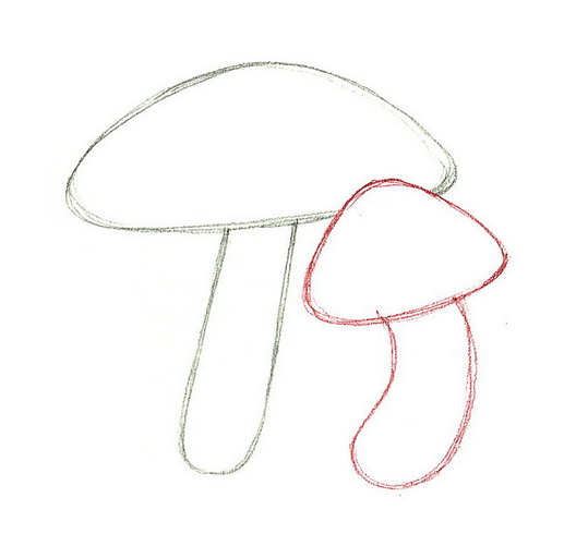 517x501 How To Draw A Mushroom - Fungi Sketch