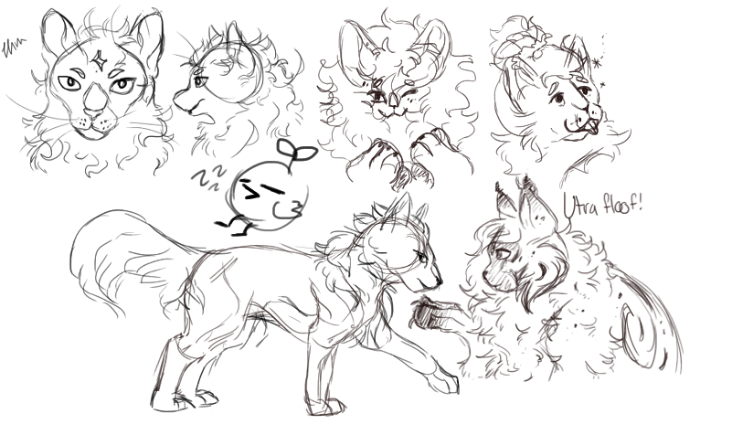 801x476 Sketch - Fungi Sketch