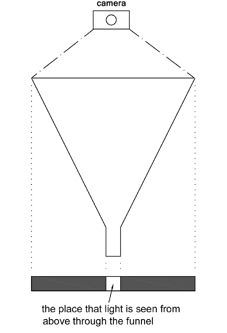 753x1102 The Sketch Of The Experimental Setup Of Mini V Funnel Apparatus - Funnel Sketch