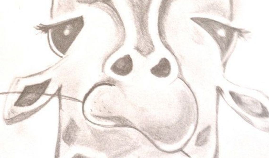 1024x600 Funny Animal Pictures Draw Image Free Funny Giraffe Drawing By - Funny Animal Sketch