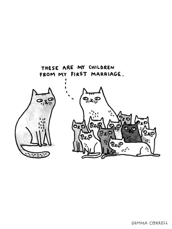 600x800 Funny Cat Drawings From Gemma Correll - Funny Cat Sketch