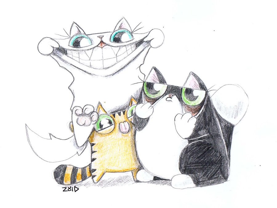 900x677 Funny Cats Funny Faces By Kingzoidlord - Funny Cat Sketch