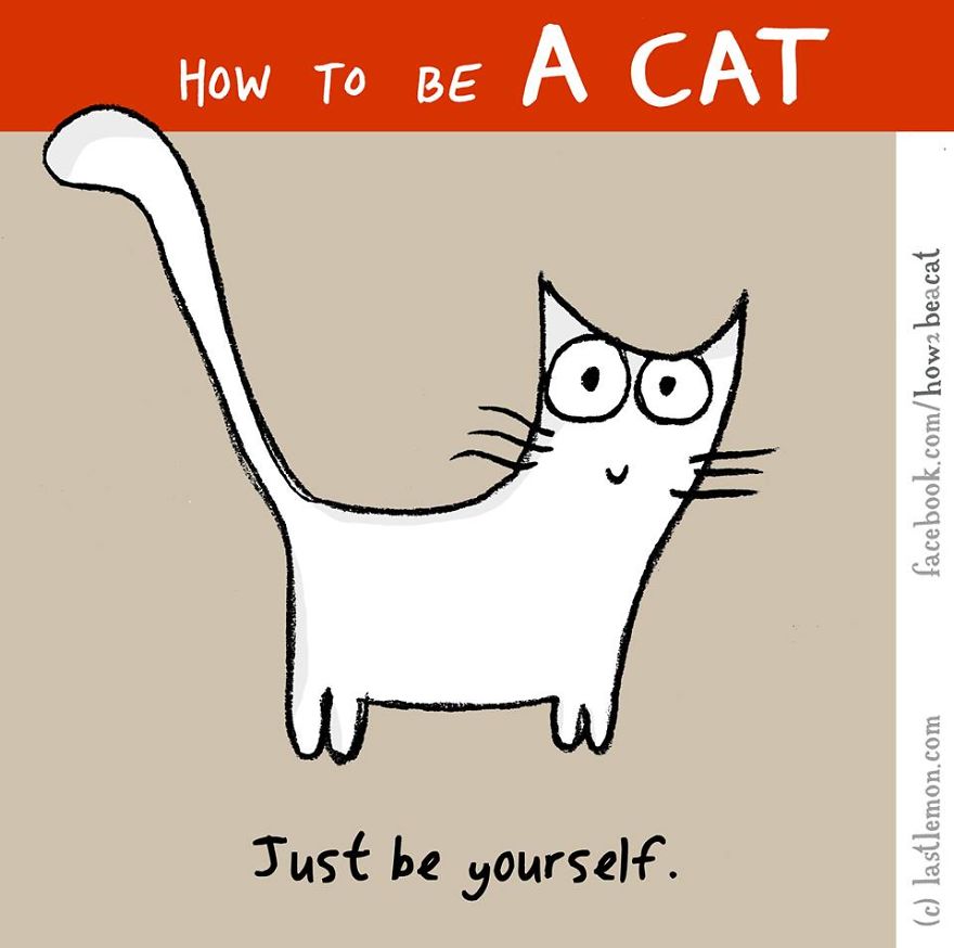 880x874 How To Be A Cat (23 Pics) Bored Panda - Funny Cat Sketch